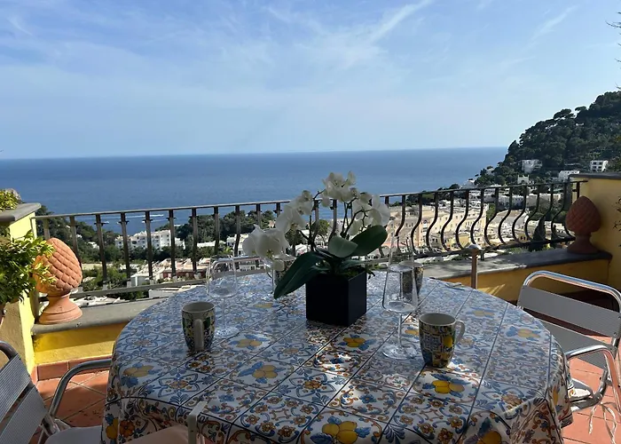 Roof Top Belvedere