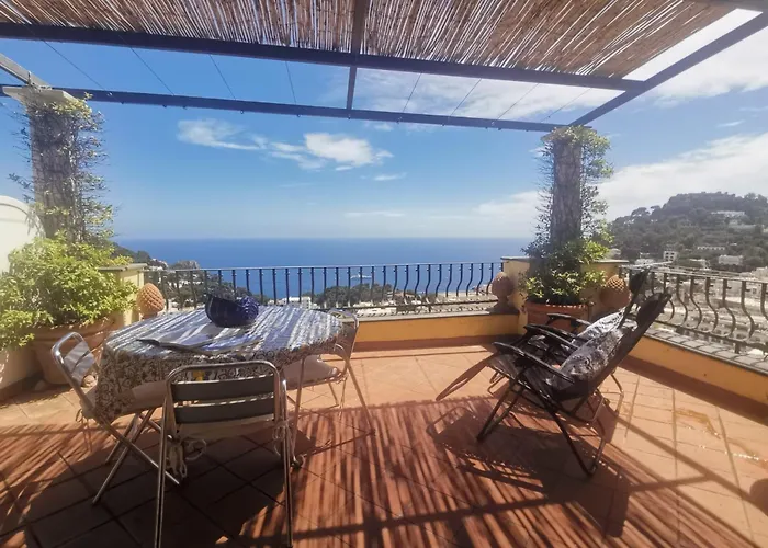 Roof Top Belvedere